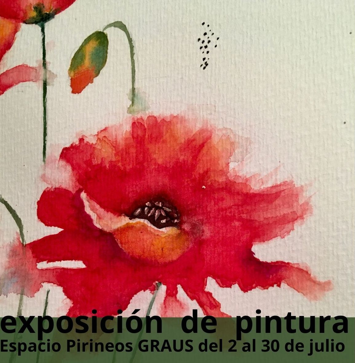 Exposición de Pintura de Ortíz | Pirineos.
