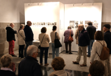 1.616 visitantes para ‘Una luz en la oscuridad’